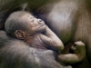 Автор: REUTERS/SCANPIX
