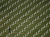 Автор: REUTERS/SCANPIX