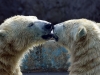 Автор: AFP/SCANPIX