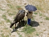 Автор: REUTERS/SCANPIX