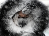 Автор: REUTERS/SCANPIX