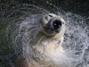 Автор: REUTERS/SCANPIX