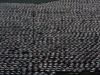 Автор: REUTERS/SCANPIX