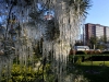Автор: AFP/SCANPIX