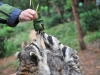 Автор: REUTERS/SCANPIX