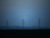 Автор: REUTERS/SCANPIX