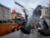Автор: AFP/SCANPIX