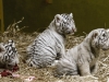 Автор: AFP/SCANPIX