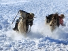 Автор: REUTERS/SCANPIX