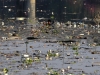 Автор: REUTERS/SCANPIX