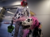 Автор: REUTERS/SCANPIX