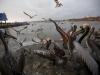 Автор: REUTERS/SCANPIX