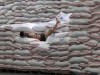 Автор: REUTERS/SCANPIX