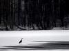 Автор: REUTERS/SCANPIX