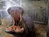 Автор: REUTERS/SCANPIX