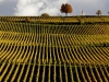 Автор: REUTERS/SCANPIX