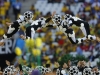 Автор: REUTERS/SCANPIX