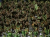 Автор: REUTERS/SCANPIX