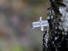 Автор: AFP/SCANPIX