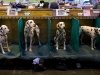 Автор: AFP/SCANPIX