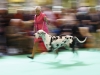 Автор: REUTERS/SCANPIX