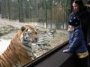 Фото: Rīgas Zooloģiskais dārzs