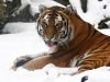 Фото: Rīgas Zooloģiskais dārzs