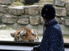 Фото: Rīgas Zooloģiskais dārzs
