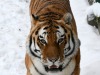 Фото: Rīgas Zooloģiskais dārzs