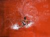 Фото: AFP/SCANPIX