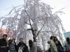 Автор: AFP/SCANPIX