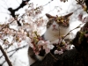Автор: REUTERS/SCANPIX