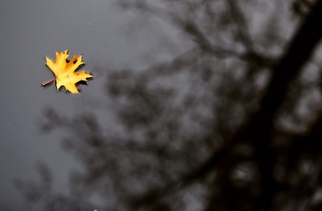 Baltic news,News from Latvia,BNN.LV,BNN-NEWS.COM,BNN-NEWS.RU