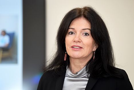 Закон о труде, инвалидность, Министерство благосостояния, занятость, трудоустройство, Рамона Петравича