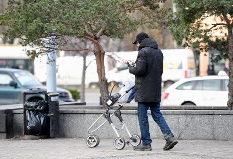 Имантс Парадниекс, общественные организации, негосударственные организации, Фонд интеграции общества