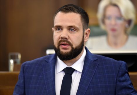 экономика, инвестиции, Янис Витенбергс, Сейм