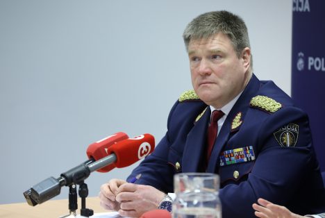 Андрей Гришин, Министерство внутренних дел, Интс Кюзис, Юрис Шулте, Госполиция