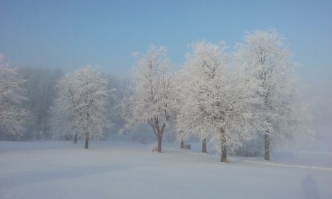 февраль, погода, зима