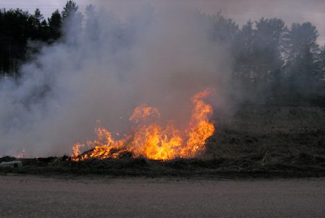 пал прошлогодней травы, пожары, ГПСС
