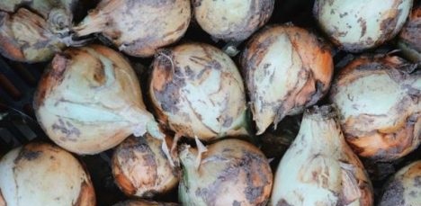 цены, ЦСУ, уровень жизни, инфляция, потребительские цены