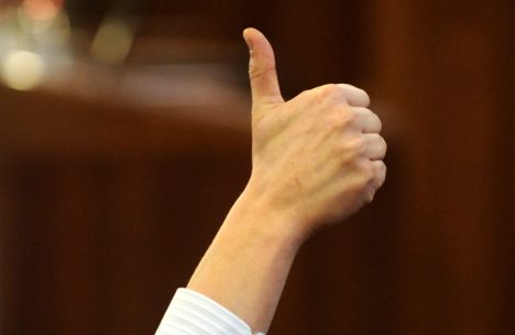 Совет по фискальной дисциплине, Янис Рейрс, Сейм