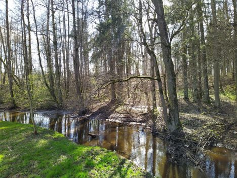 погода в Латвии, апрель, весна