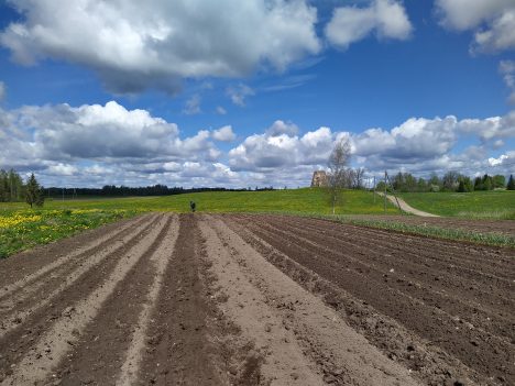 аграрии, Covid-19, сезонные рабочие, налоги
