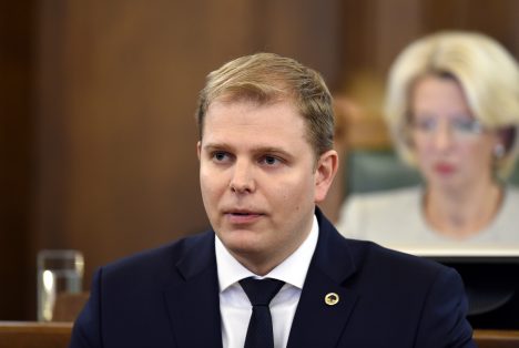 НКП, коалиция, Кришьянис Фелдманис, партии, правительство