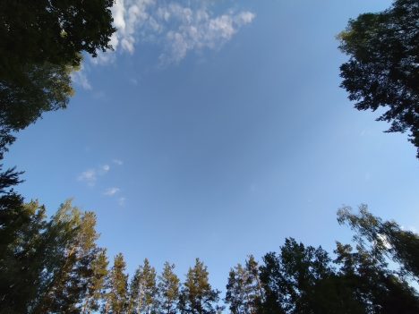 выходные, погода, лето, жара