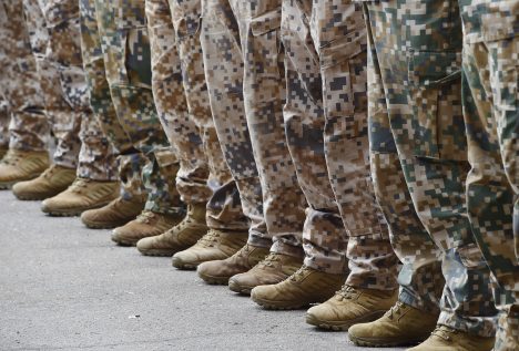 латвийская армия, Сейм, военные, оборона