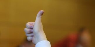 Алдис Адамовичс, следствие, БПБК, компенсации, уголовное преследование, прокуратура