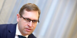 Государственный контроль, Роландс Ирклис, Элита Круминя, аудит, ревизия