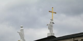 Covid-19, коронавирус, смертность в Литве, медицина