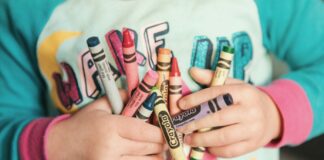 школьники, учеба, образование в Латвии, Илга Шуплинска, министр образования